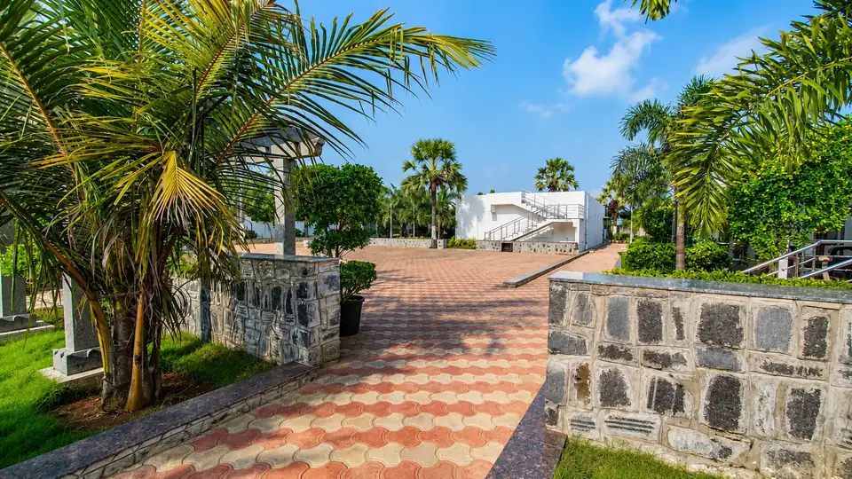 Landscaped resort road with palm trees